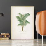 cartel de palma vintage