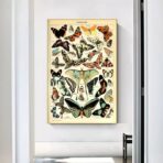 cartel vintage mariposa