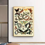 cartel vintage mariposa