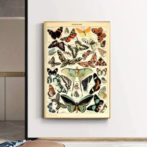 cartel vintage mariposa