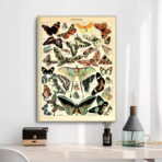 cartel vintage mariposa