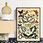 cartel vintage mariposa