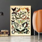cartel vintage mariposa