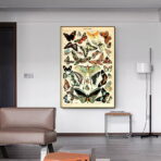 cartel vintage mariposa