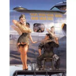 cartel de aviacion pin up