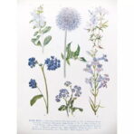 cartel de planta vintage 1