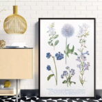 cartel de planta vintage 1
