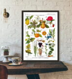 cartel de planta vintage