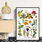 cartel de planta vintage