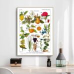 cartel de planta vintage