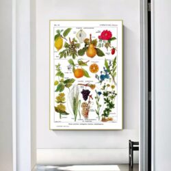 cartel de planta vintage