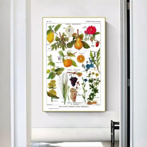 cartel de planta vintage