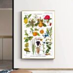 cartel de planta vintage