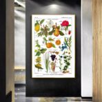 cartel de planta vintage