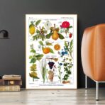cartel de planta vintage
