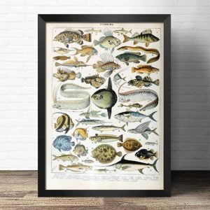 cartel vintage pescado