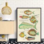 cartel pez vintage 1