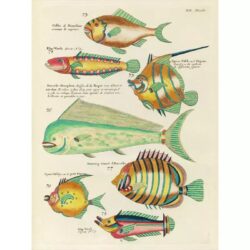 cartel pez vintage 1