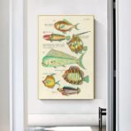 cartel pez vintage 1