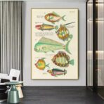 cartel pez vintage 1