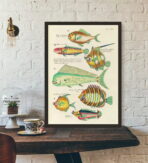 cartel pez vintage 1