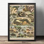 cartel viejo de reptiles