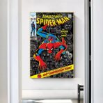 cartel spiderman vintage