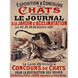 cartel de gato vintage
