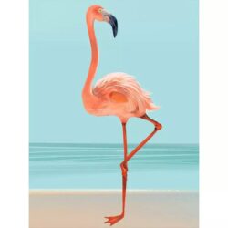 cartel vintage flamingo