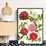 cartel de flores vintage 2