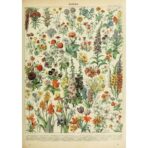 cartel de flores vintage 1