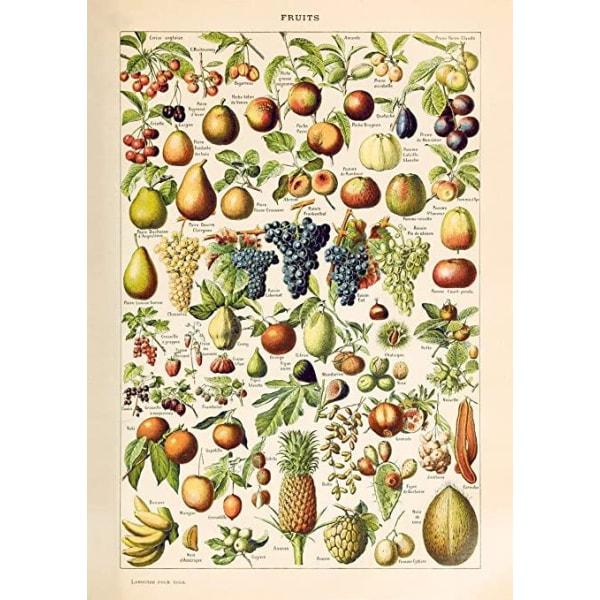 cartel de frutas vintage cartel de frutas vintage