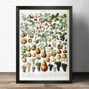 cartel fruta