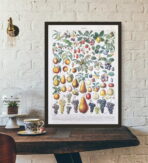 cartel de frutas vintage 1