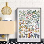 cartel de frutas vintage 1