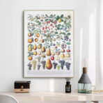 cartel de frutas vintage 1