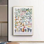 cartel de frutas vintage 1
