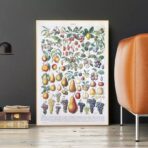 cartel de frutas vintage 1