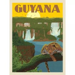 cartel vintage guyana