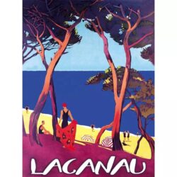 cartel lacanau vintage
