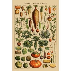 cartel vegetal vintage