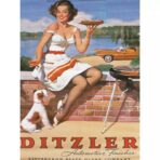cartel pin up vintage 1