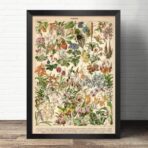 cartel de flores silvestres