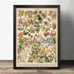 cartel de flores silvestres