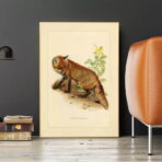 cartel vintage zorro