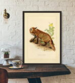 cartel vintage zorro