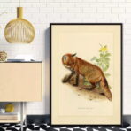 cartel vintage zorro