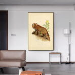 cartel vintage zorro