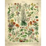 cartel de flores vintage