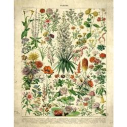 cartel de flores vintage